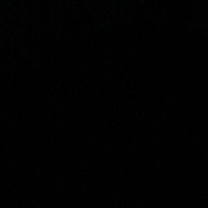 Meet your Posher, Isabella